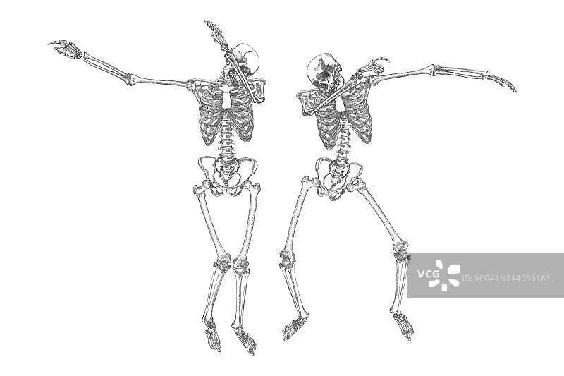 人体骨骼跳舞DAB就像朋友一样，在组内进行轻拍动作，在白色背景上独立摆姿势，矢量。图片素材