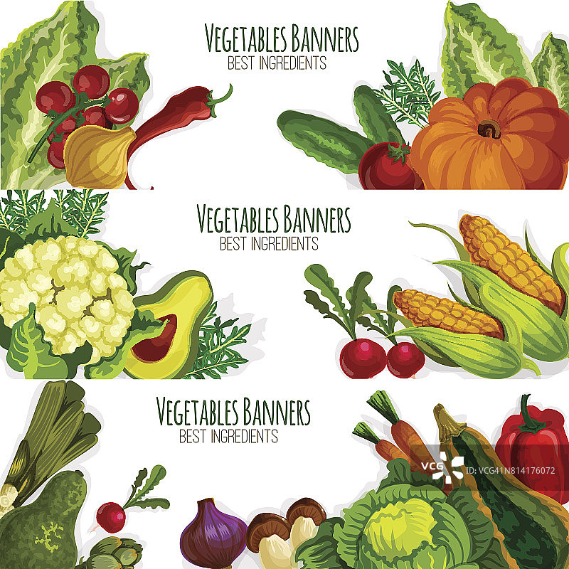 蔬菜载体条幅套新鲜蔬菜图片素材