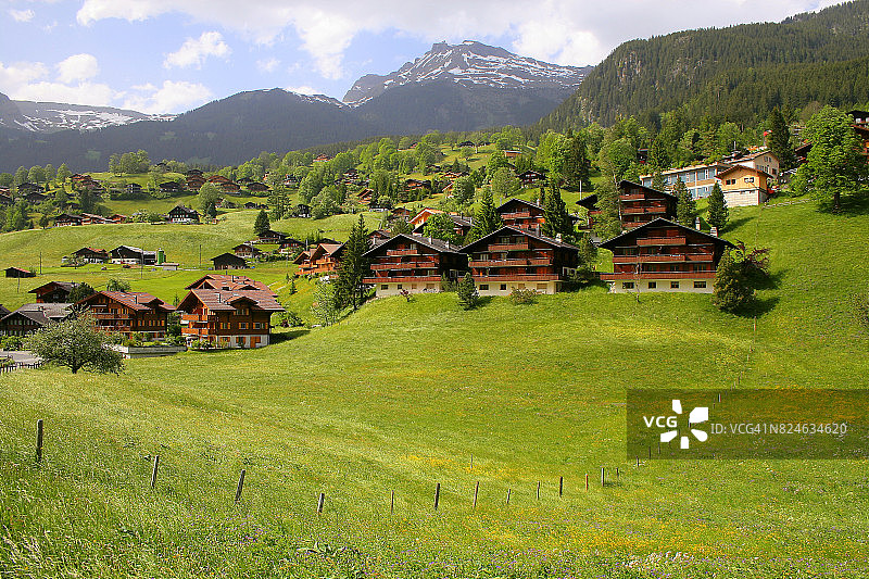 童话般的风景:田园诗般的格林德沃阿尔卑斯村，瑞士乡村小屋的城市景观，山谷里的野花和春天五颜六色的草地，戏剧性的瑞士冰雪覆盖的Wetterhorn阿尔卑斯山，田园诗般的乡村，伯恩斯高地，瑞士阿尔卑斯山图片素材