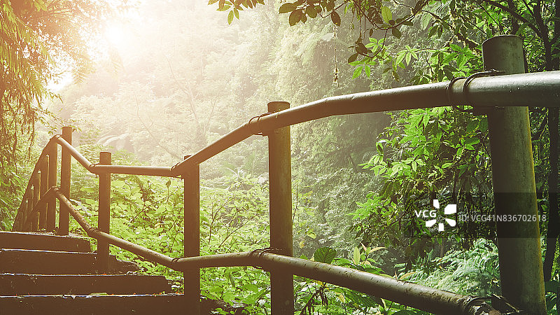 徒步旅行的小路穿过雾蒙蒙的丛林，阳光穿透图片素材