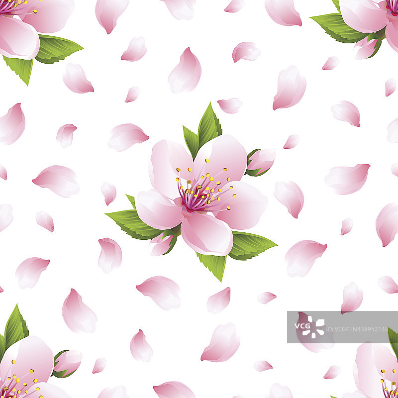 背景无缝图案樱花和花瓣图片素材
