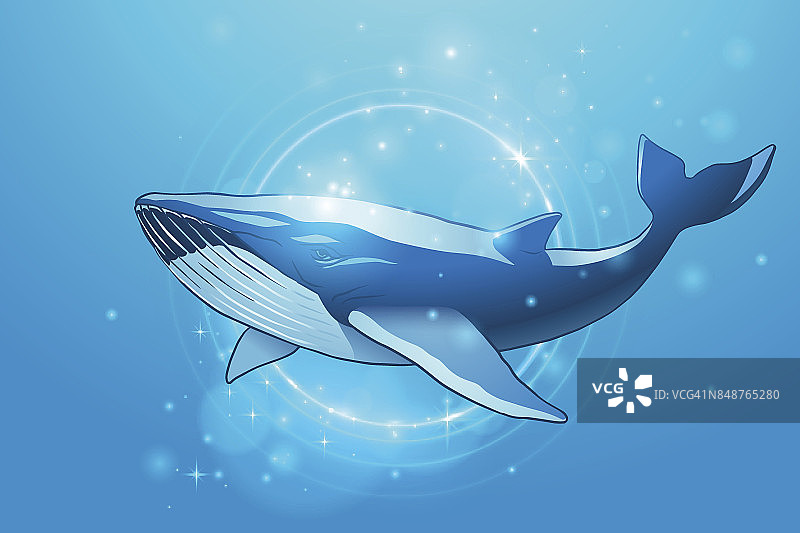 鲸鱼的插图图片素材