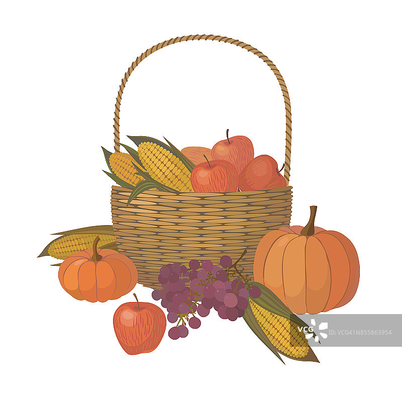 有时令水果和蔬菜的感恩节篮子图片素材