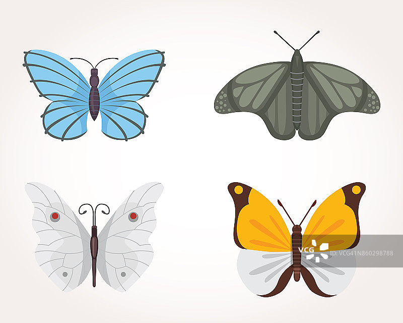 一套彩色蝴蝶矢量设计插图。夏天的昆虫图片素材