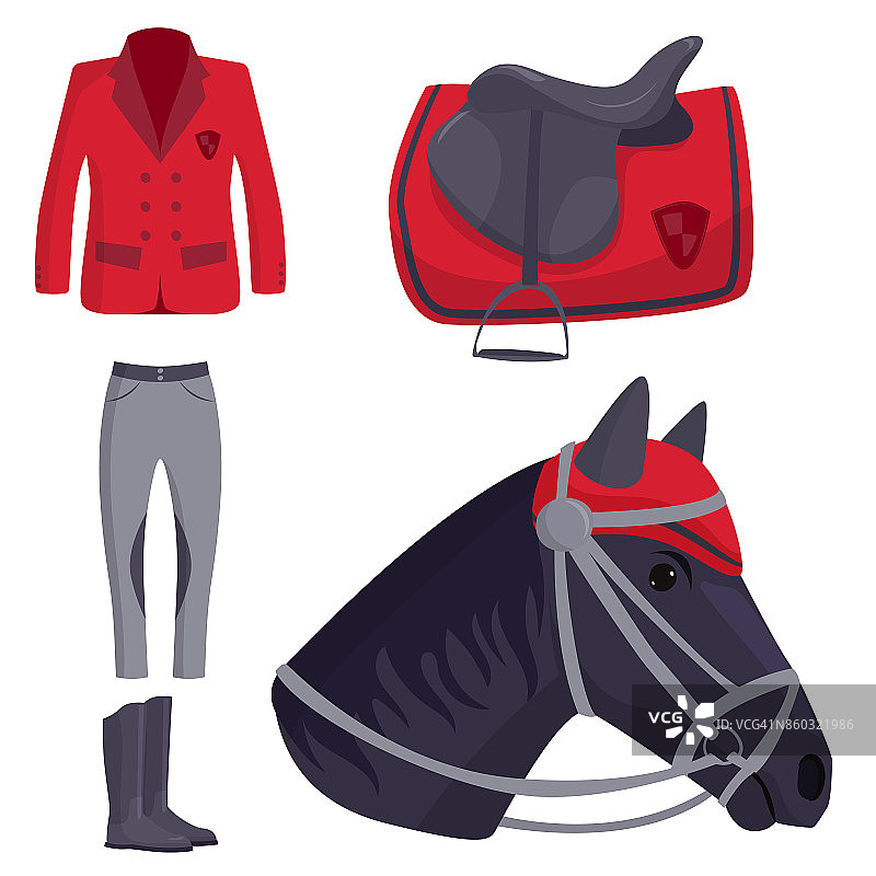 骑师马匹矢量竞技场冠军动物种马比赛自然农场骑乘活动运动休闲插图图片素材