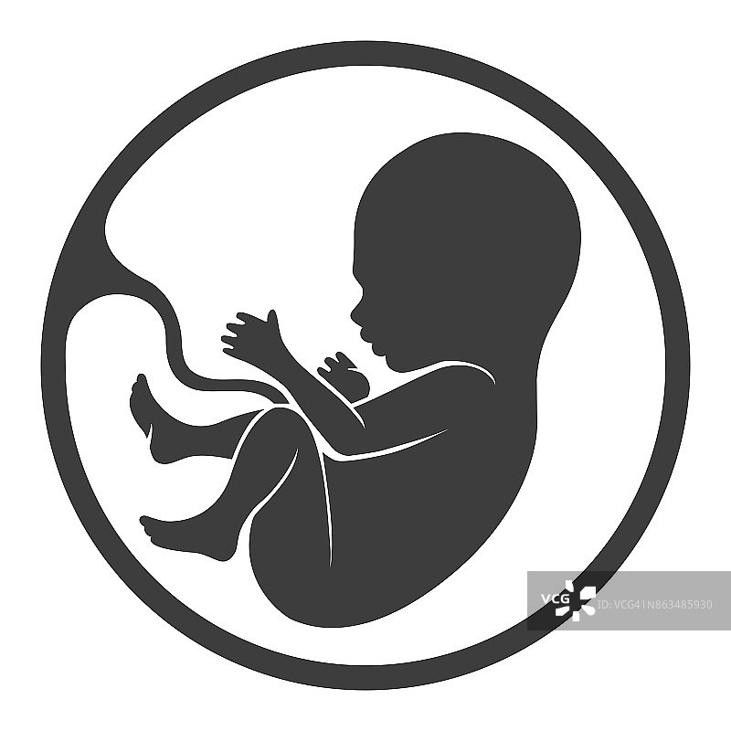 胎儿胎盘轮廓图片素材