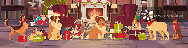 狗在圣诞老人的帽子在客厅装饰松树，圣诞快乐和新年快乐的假期海报设计图片素材