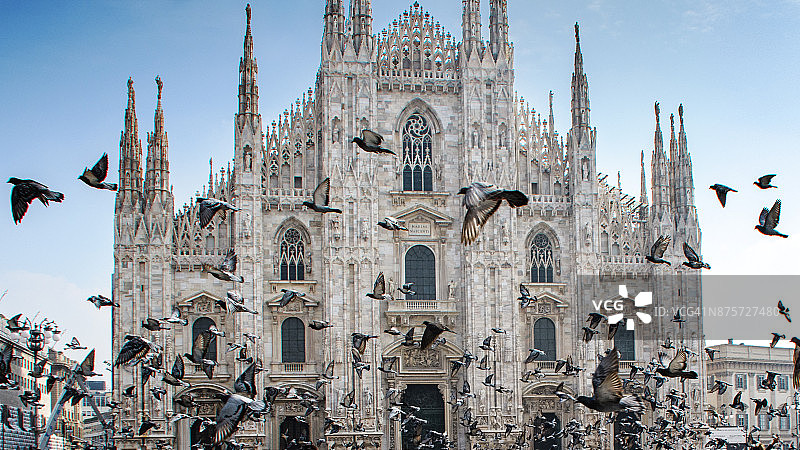 鸽子在意大利米兰大教堂前飞翔图片素材