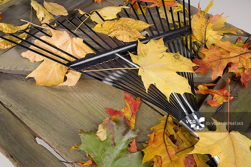 用耙子和树叶放在野餐桌上图片素材