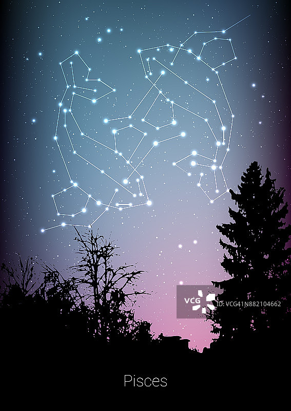 双鱼座星座与森林景观剪影在美丽的星空与银河和后面的空间。双鱼座星座符号星座在深宇宙背景上。名片设计图片素材