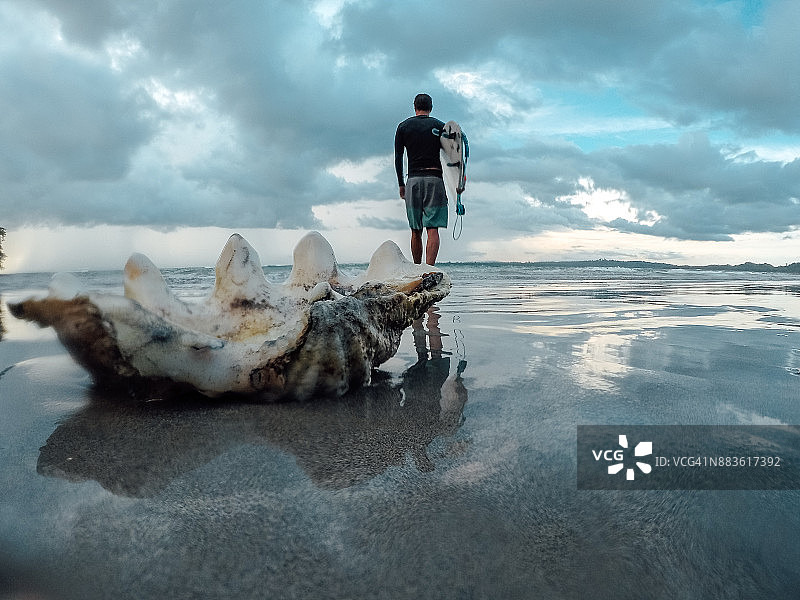 沙滩上的大贝壳图片素材