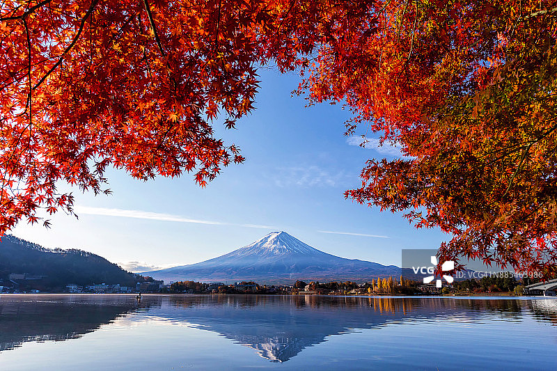 秋天，日本山梨县川口町湖上的富士山，红红的枫叶。图片素材