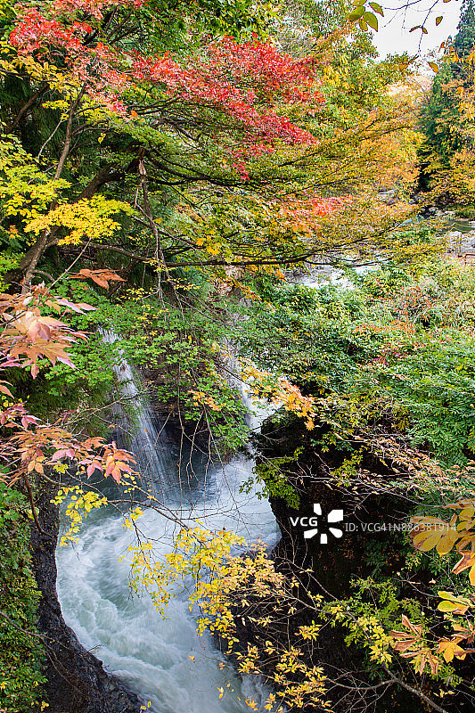 日本秋景图片素材