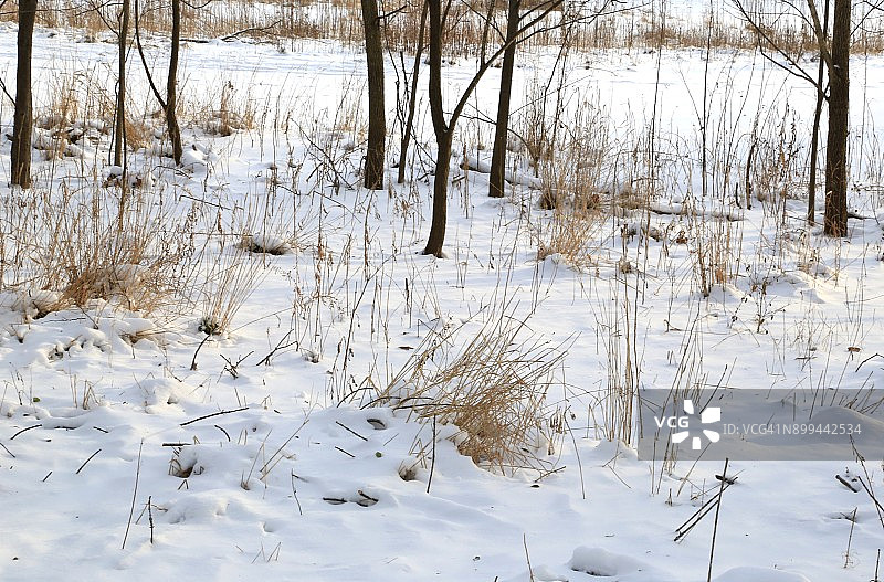草原上冬天的天气图片素材