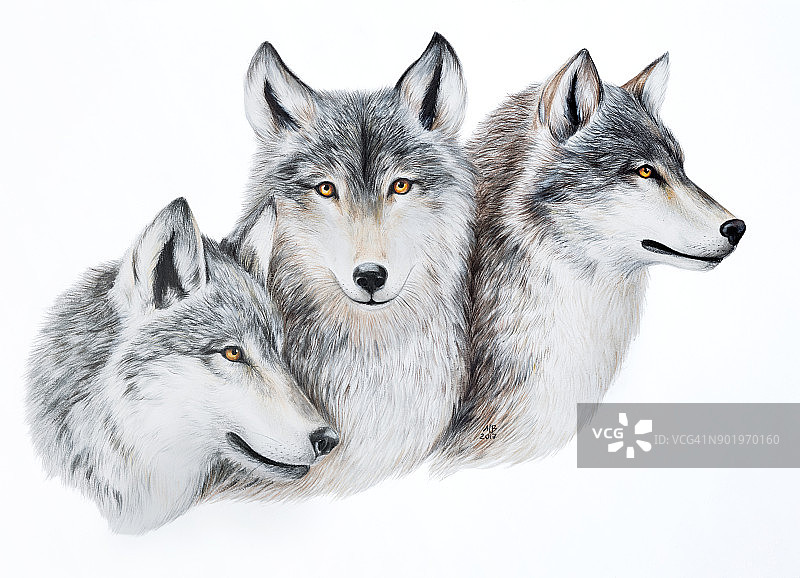 画着三只狼的油画图片素材