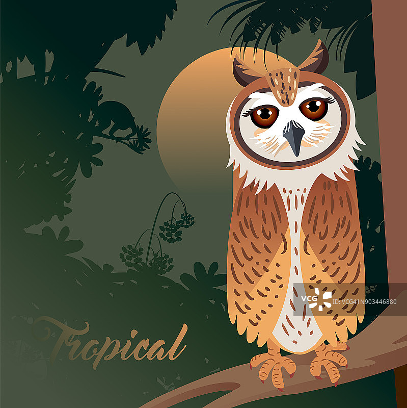 条纹猫头鹰和森林图片素材