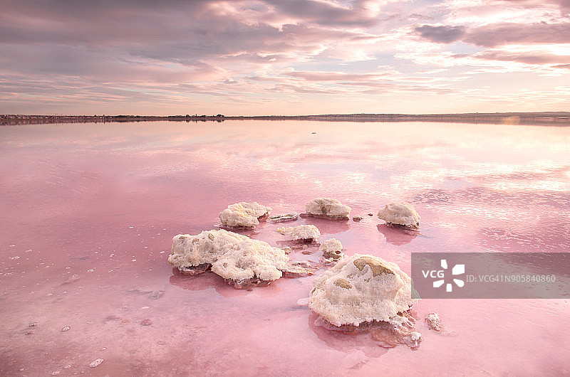 托雷维哈的粉红色咸水湖图片素材