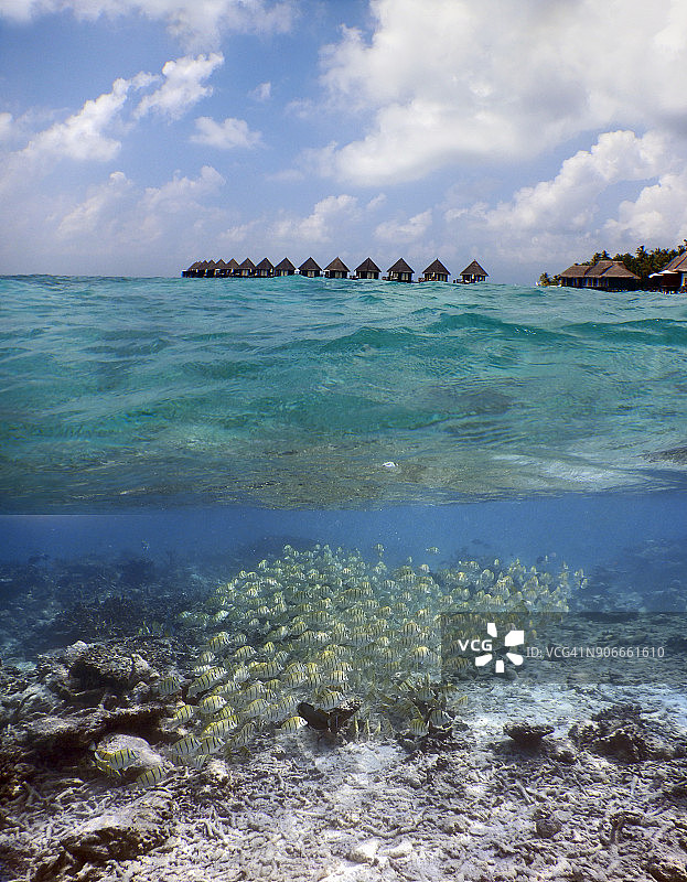 上面和水下的马尔代夫图片素材