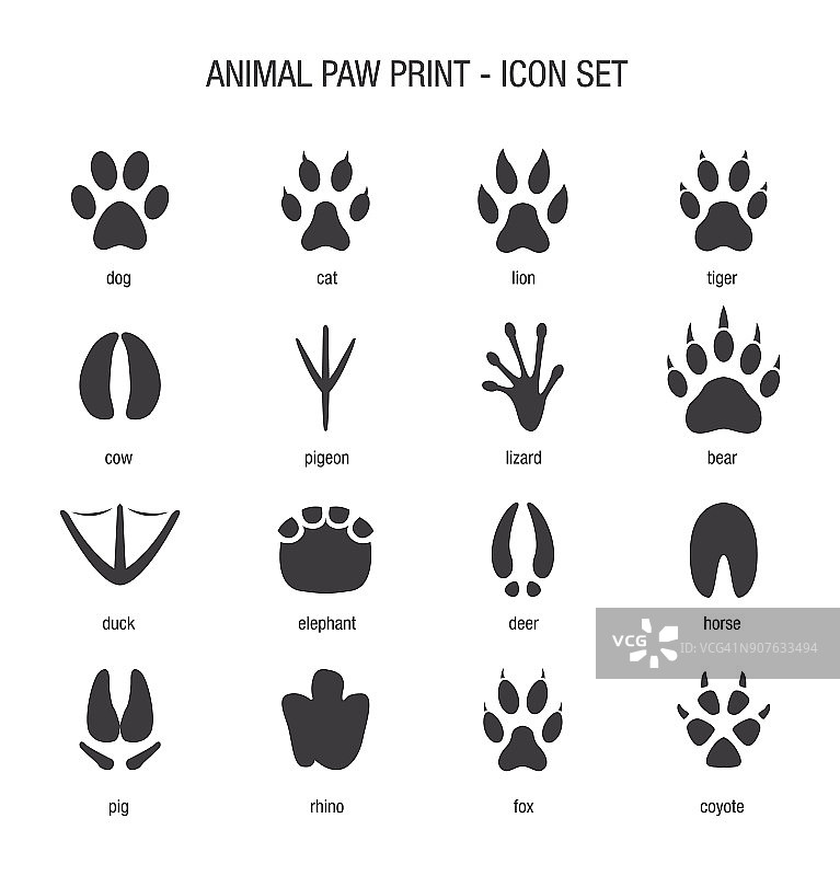 动物爪印图标设置图片素材