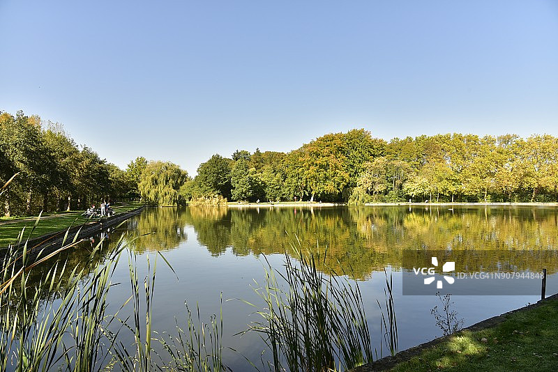 秋天的林地映照在主池塘上图片素材