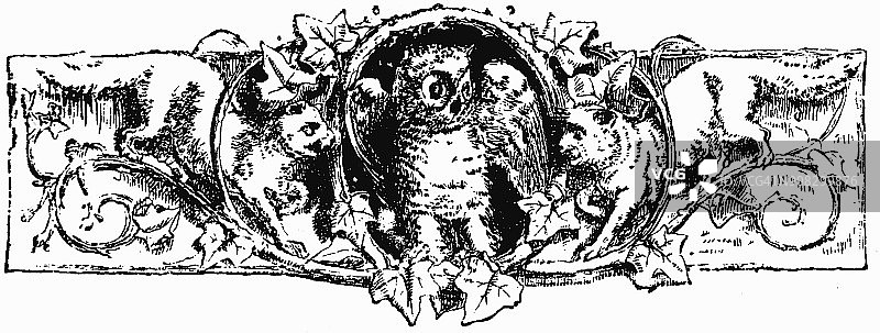 维多利亚时代的装饰页头与猫头鹰包围的猫两侧;19世纪的书，页装饰和讲故事1879年图片素材