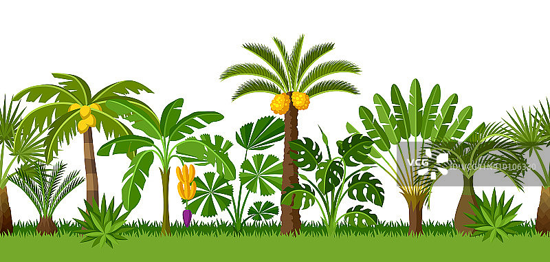 无缝模式与热带棕榈树。奇异的热带植物，丛林自然的插图图片素材