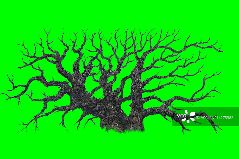绿色背景上的一棵大枯树。图片素材