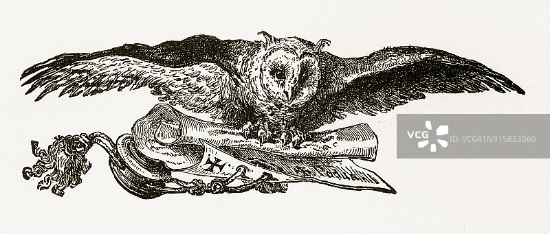 猫头鹰飞行和携带卷轴雕刻，大约1892年图片素材