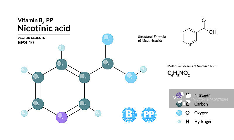 烟酸的结构化学分子式及模型。原子被表示为在背景上隔离的彩色编码球体。2d或3d可视化和骨架公式。向量图片素材
