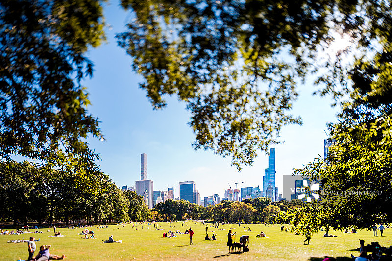 中央公园和纽约天际线在一个晴朗的夏日图片素材