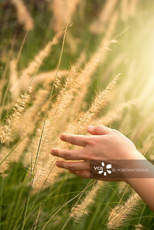 女人抚摸着花园里的小草，她在阳光下感到放松。图片素材