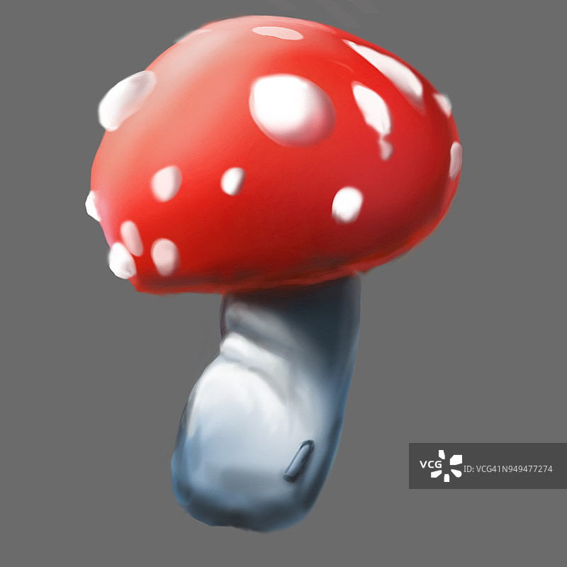 插图的蘑菇。蘑菇图案不适合食用。图片素材