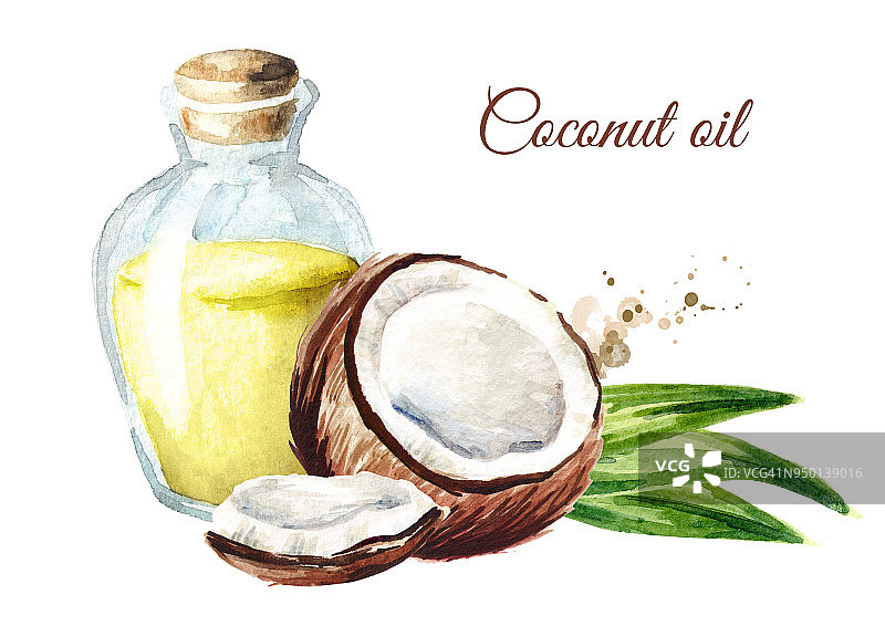 椰子油和坚果。水彩手绘插图孤立的白色背景图片素材