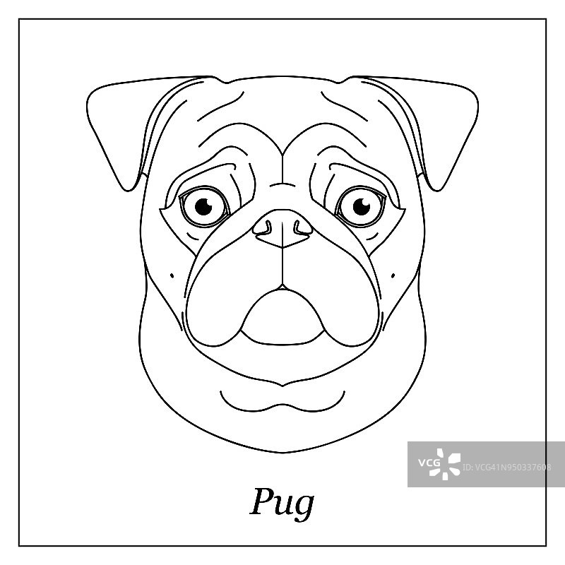 孤立的黑色轮廓哈巴狗的头，拖把在白色的背景。线条卡通犬种肖像。图片素材