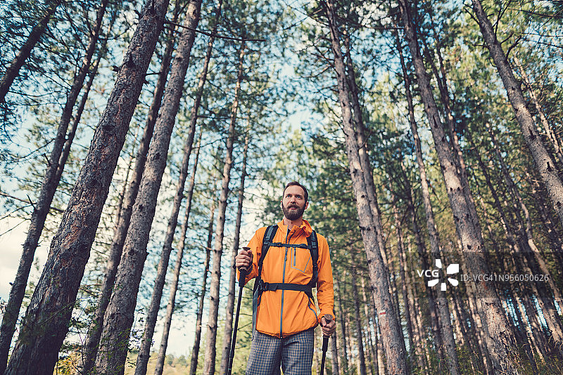 游客享受北欧漫步在森林图片素材