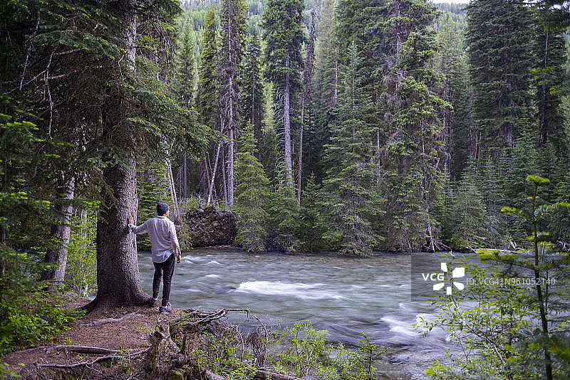 在森林里，人站在树旁看风景图片素材