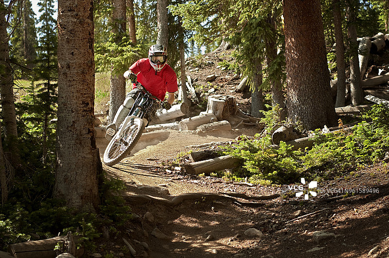 山地车在森林里的土路上骑自行车图片素材