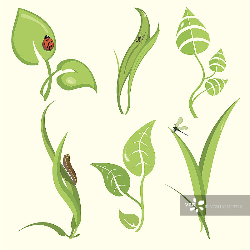 一套设计植物的叶子和有趣的昆虫图片素材