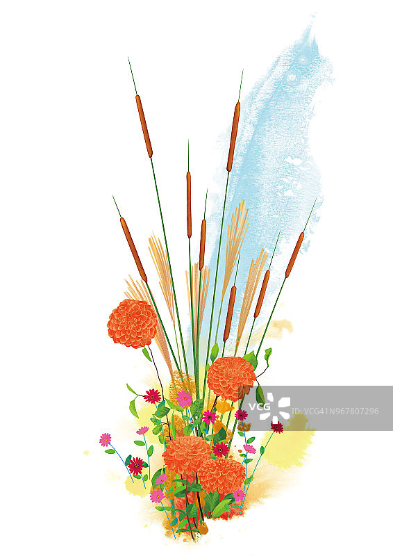 概念花卉艺术作品的白色背景图片素材