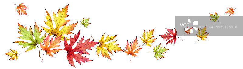 秋天的枫叶。水平全景图像。水彩图片素材