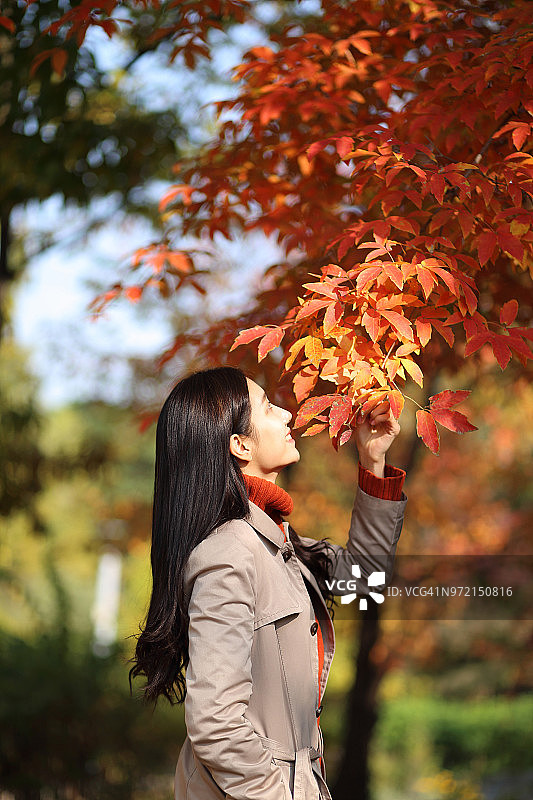 女人拿着树叶在秋天的公园里图片素材