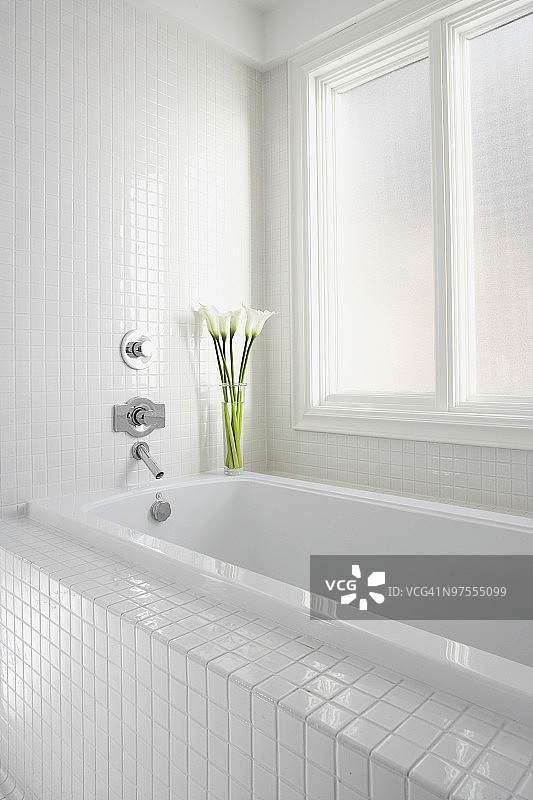 有马蹄莲的白色浴室图片素材
