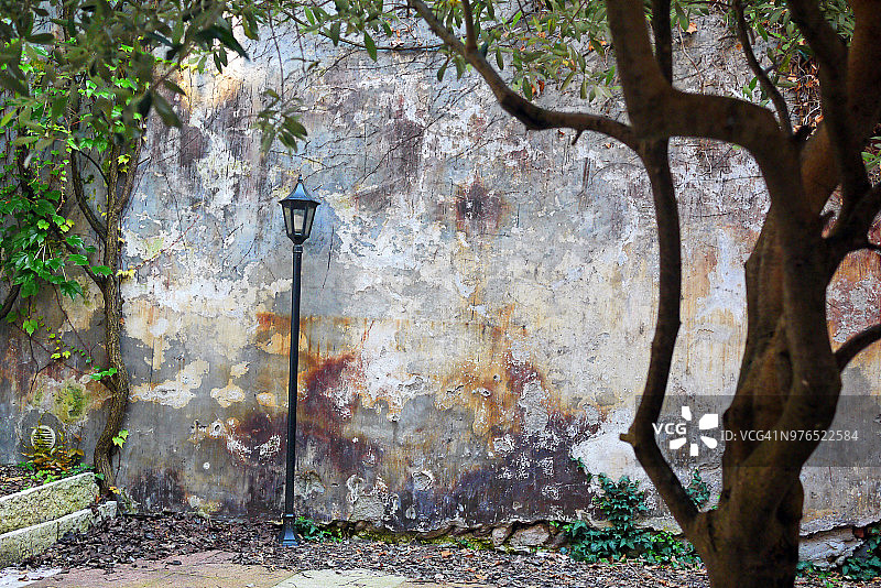 浪漫的花园墙，古老的锻铁灯笼和树干图片素材
