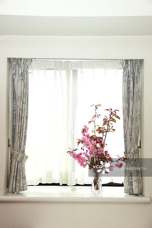 窗户边的樱花图片素材
