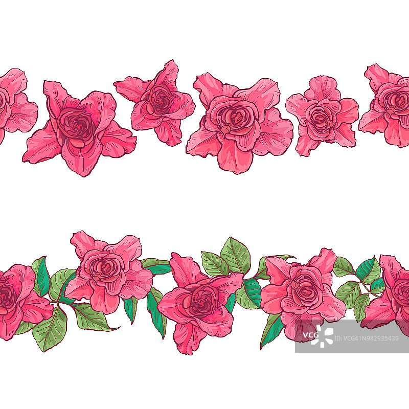 一套无缝玫瑰饰品，矢量植物插图。图片素材