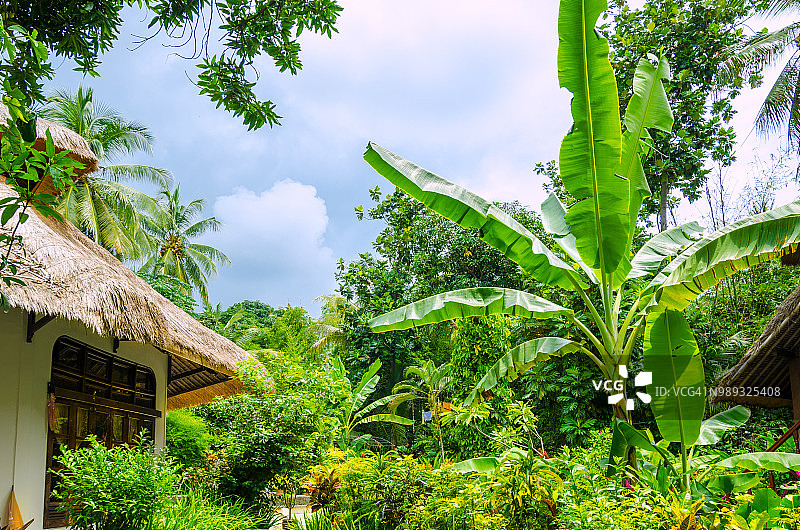 印尼巴厘岛-在村庄Tejakula的美丽海景和棕榈树的度假胜地图片素材
