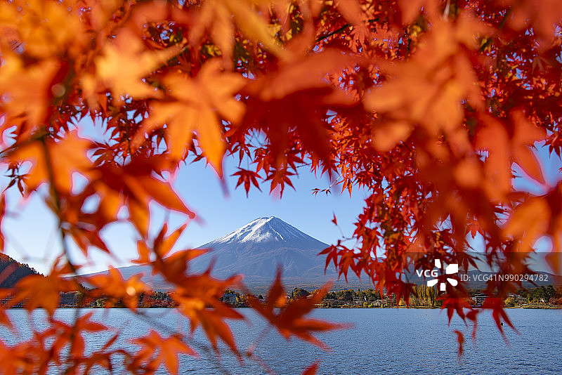 富士山和红枫的心框架在川口湖，秋天，日本图片素材