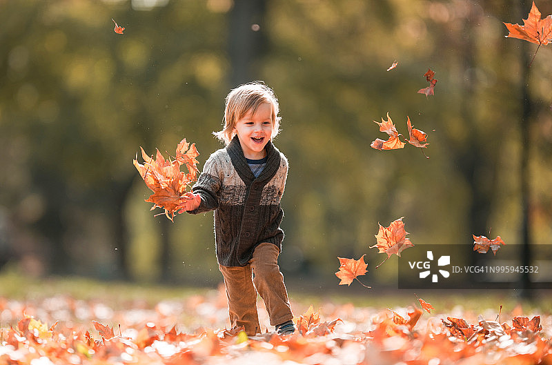快乐的小男孩在秋天的树叶中奔跑。图片素材