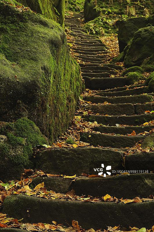 秋天，瑞士撒克逊，德国萨克森，Uttewalder Grund的石头楼梯图片素材