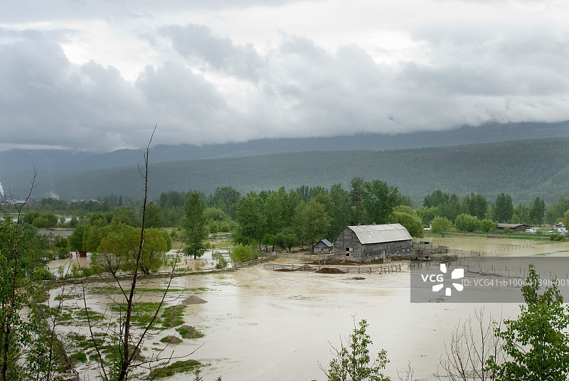 加拿大，不列颠哥伦比亚省，戈尔登，淹没了哥伦比亚河上的农田图片素材